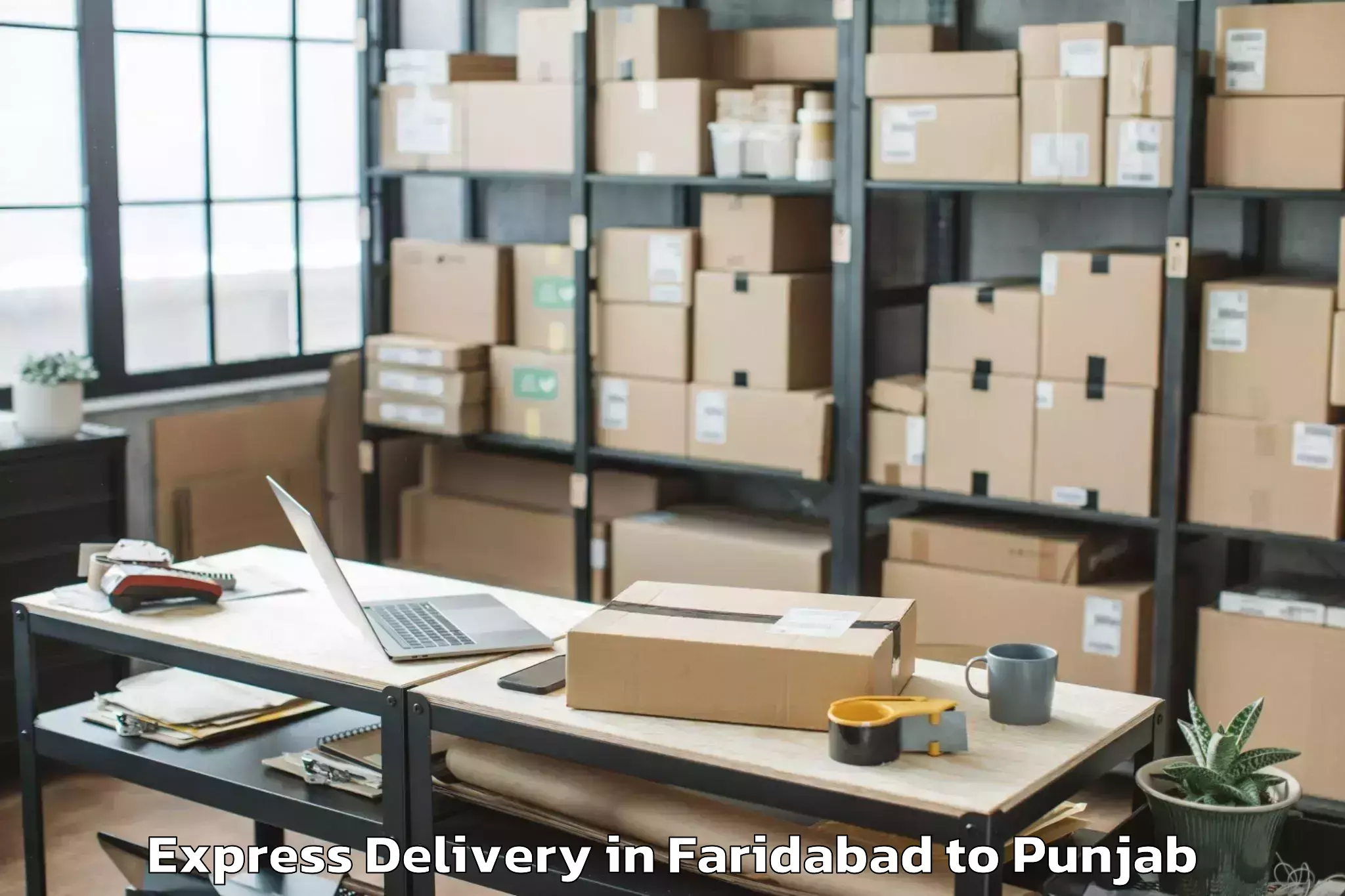 Professional Faridabad to Tapa Express Delivery